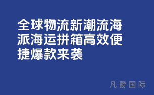 全球物流新潮流：海派海运拼箱，高效便捷，爆款来袭！