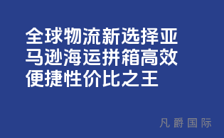 全球物流新选择，亚马逊海运拼箱，高效便捷，性价比之王！
