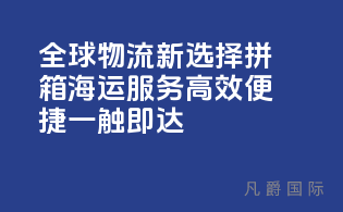 全球物流新选择，拼箱海运服务，高效便捷，一触即达！