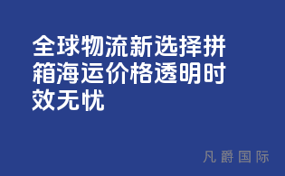 全球物流新选择，拼箱海运，价格透明，时效无忧！